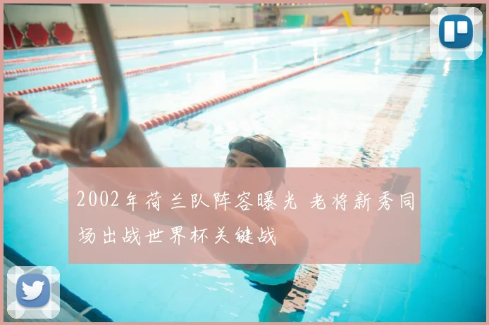 2002年荷兰队阵容曝光 老将新秀同场出战世界杯关键战
