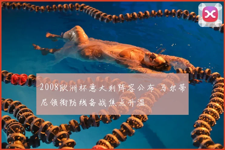 2008欧洲杯意大利阵容公布 马尔蒂尼领衔防线备战焦点升温