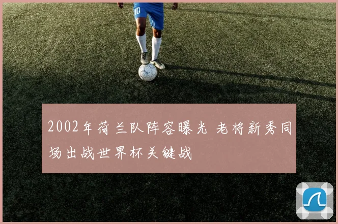 2002年荷兰队阵容曝光 老将新秀同场出战世界杯关键战