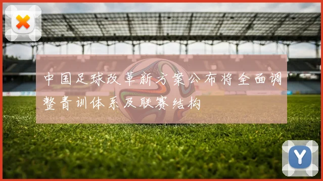 中国足球改革新方案公布将全面调整青训体系及联赛结构