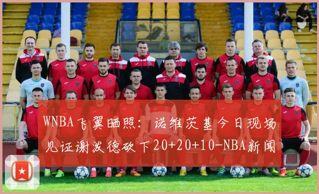 WNBA飞翼晒照：诺维茨基今日现场见证谢泼德砍下20+20+10-NBA新闻