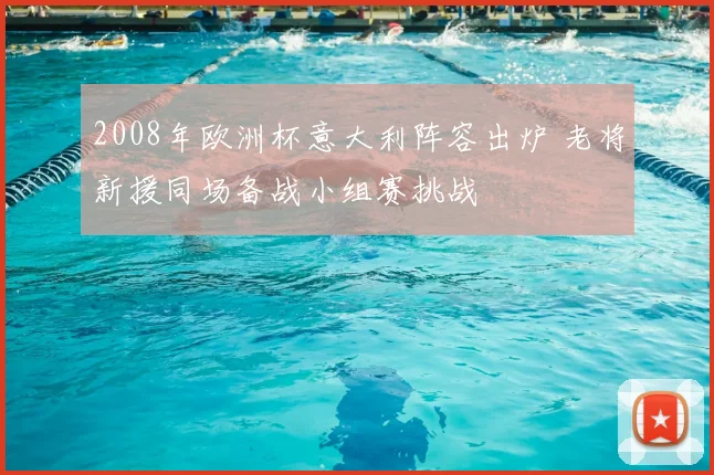 2008年欧洲杯意大利阵容出炉 老将新援同场备战小组赛挑战