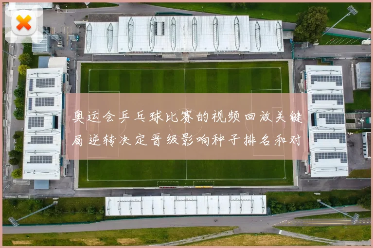 奥运会乒乓球比赛的视频回放关键局逆转决定晋级影响种子排名和对阵